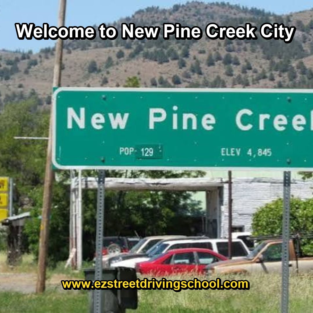 Driving Lessons in New Pine Creek